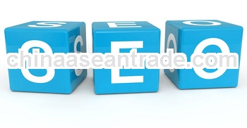 professional seo service company ,website seo