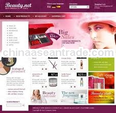 professional web design company