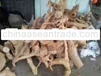 100% Pure Natural Tongkat Ali