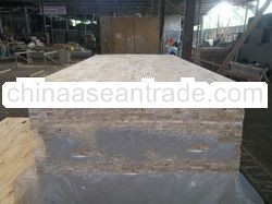 Albasia FAlcata Bare Core