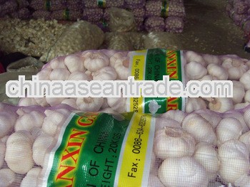pure/normal white garlic ---natural