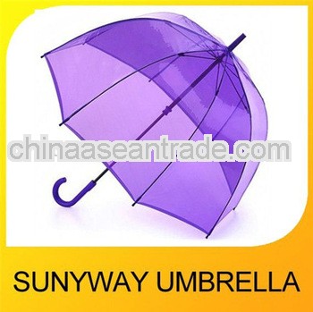 purple house bubble transparent umbrella