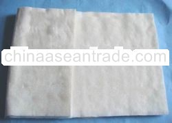 Animalintex poultice pad