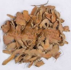 Dried Turmeric and Powder Turmeric