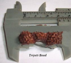 Trijuti Bead
