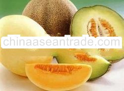 Melons Fresh Fruit from Thailand 100%