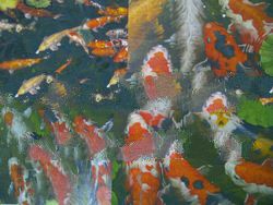 acrylic fish painting
