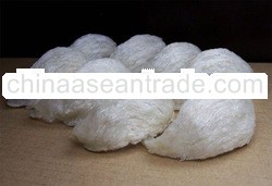 Cleaned Bird House Nest