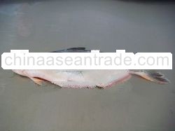 Pangush Belly Gutted