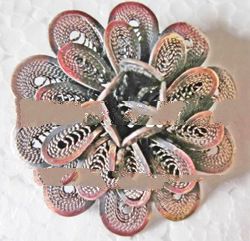 copper brooch