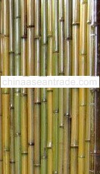 FENCING PANELS BAMBOO