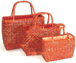 Summer Bag