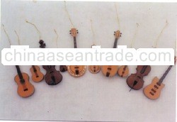 Musical String Instrument