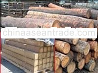 coconut sawn timber