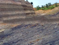 Sell Indonesian Steam Coal