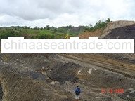 steam coal (batubara)