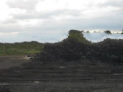 INDONESIA STEAM COAL GCV 5800-5600 (ADB)