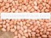 Ground Nut White Beans