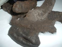 Dried Sea Cucumber