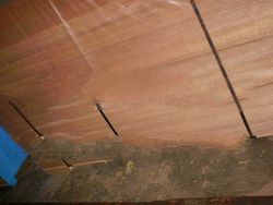 Red Bayur laminated Scantlings