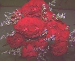 Red Roses combined with Caspea flowers decoration