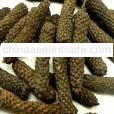Long Pepper