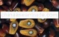 Crude Palm Oil