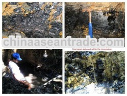 Coal GCV(adb) 5800 - 5600Kcal/Kg