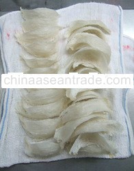 Processed White Birdsnest