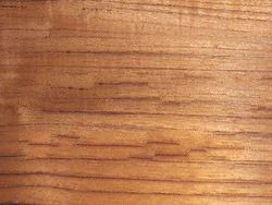 Teak Veneer