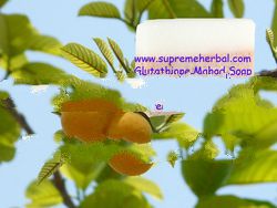 Natural Handmade Soap & Herbal Handmade Soap & Glutathione Mahad Soap