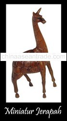 Miniature Giraffe