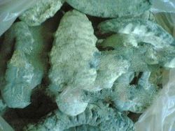 Dry & Frozen Sea Products