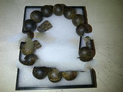 High Grade Natural Wild Agarwood Bracelets 16mm Sulawesi 