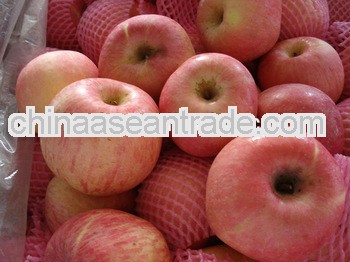 red China fresh fuji apple delicious fruit apple