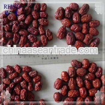 red Chinese date date fruit