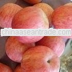 red fuji apple