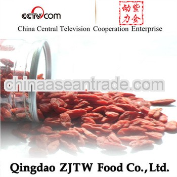 red ningxia Goji
