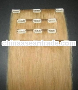 remy hot heads 20 inch clip in human hair extensions