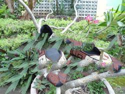 embroidery Etnic Shoes