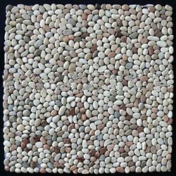 Mixed Mini Pebble Tiles Regular