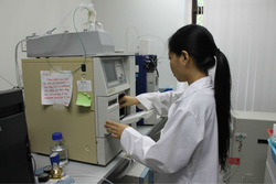 Bird Nest / White Bird Nest/ Edible Bird Nest