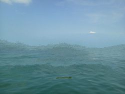 Island for sale / lease, Bintan Island,