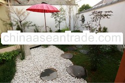 Japanese Garden