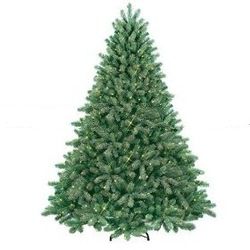 12' Just Cut Evergreen Spruce Pre Lit PE Artificial Christmas Tree Clear Lights