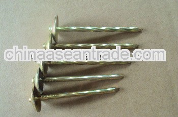 roofing nails with Umbrella head (BY) factory