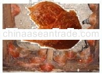 Red Bird's Nest-Farm House Nests