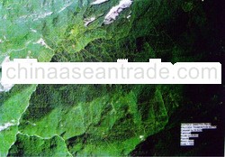 Agricultural Land and Mineral Springs