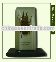 Beetle Desk Decoration