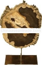 Petrified wood slab on stand